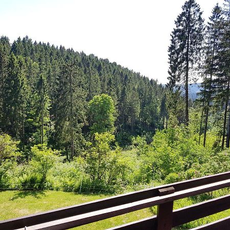 Fewo Waldblick Санкт Андреасберг Екстериор снимка