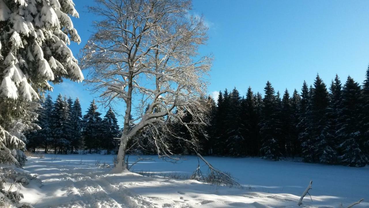 Fewo Waldblick Санкт Андреасберг Екстериор снимка